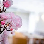 Boutique Hauser Ξενοδοχείο 4*