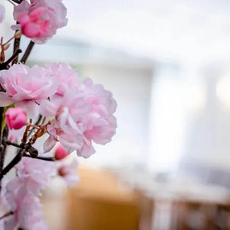 Boutique Hauser Hotel 4*