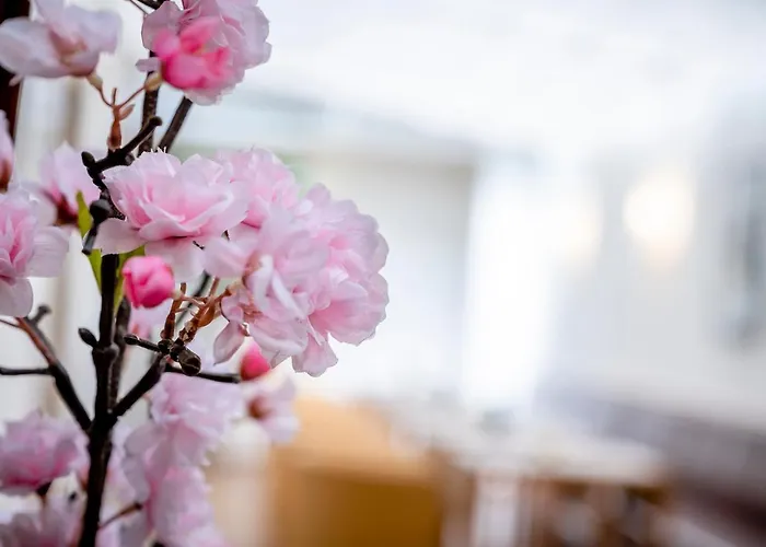 Boutique Hauser Hotel 4*